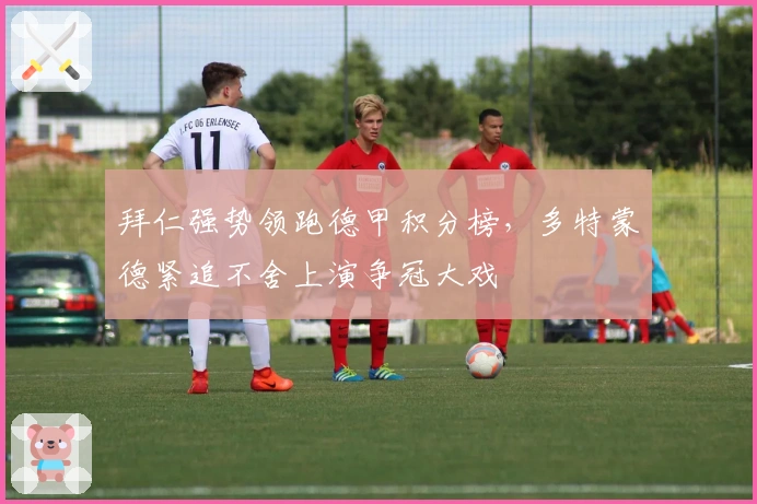 拜仁强势领跑德甲积分榜，多特蒙德紧追不舍上演争冠大戏